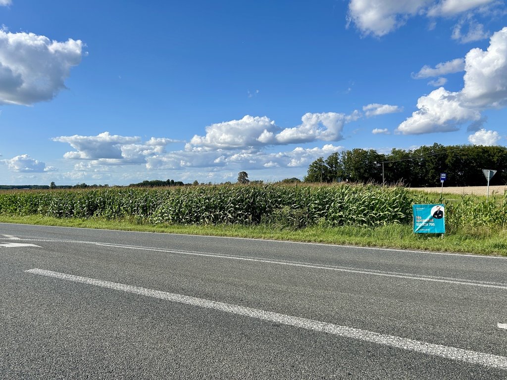 15 ustawnych działek - WZ w procesie, droga asfalt Kębliny, Strykowska  50 308m2 Foto 1