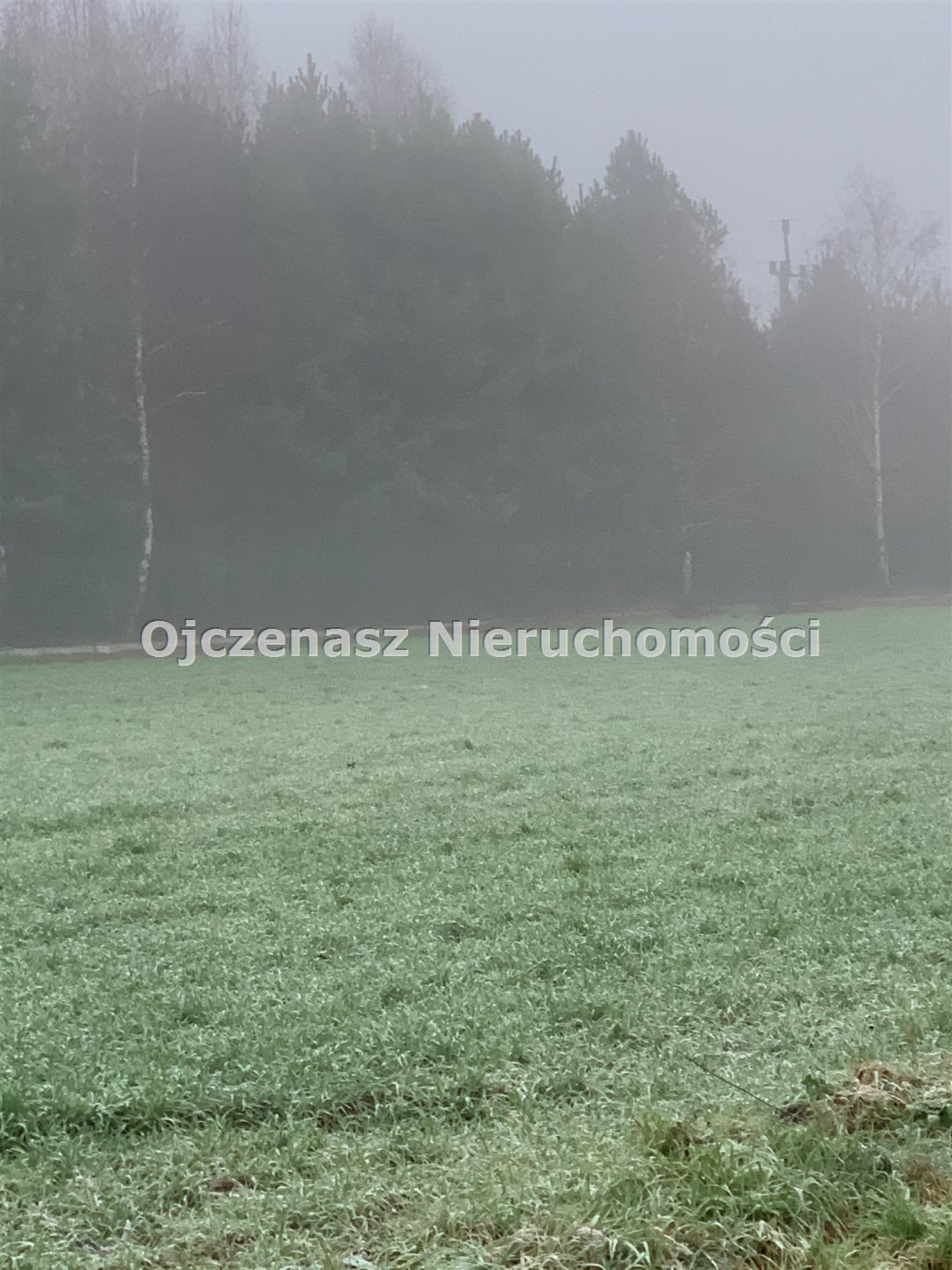 Działka budowlana 1571 m2 z mediami i warunkami zabudowy Ciele  1 571m2 Foto 1