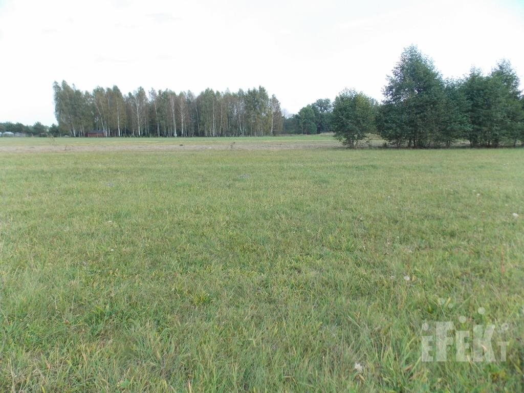 Działka budowlana na sprzedaż Bartniki  1 200m2 Foto 1