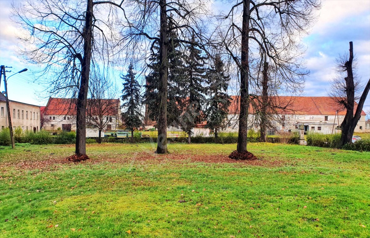 Lokal użytkowy na sprzedaż Szczepanów  3 000m2 Foto 4