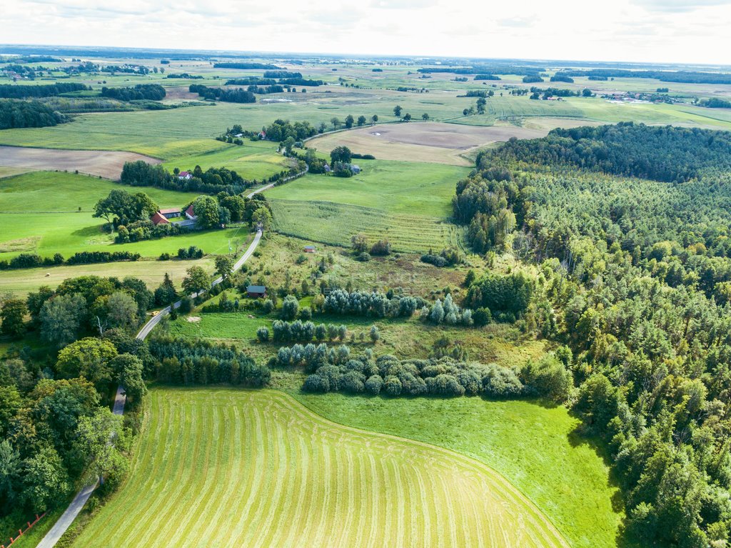 Działka rolna na sprzedaż Golubie  3 687m2 Foto 3