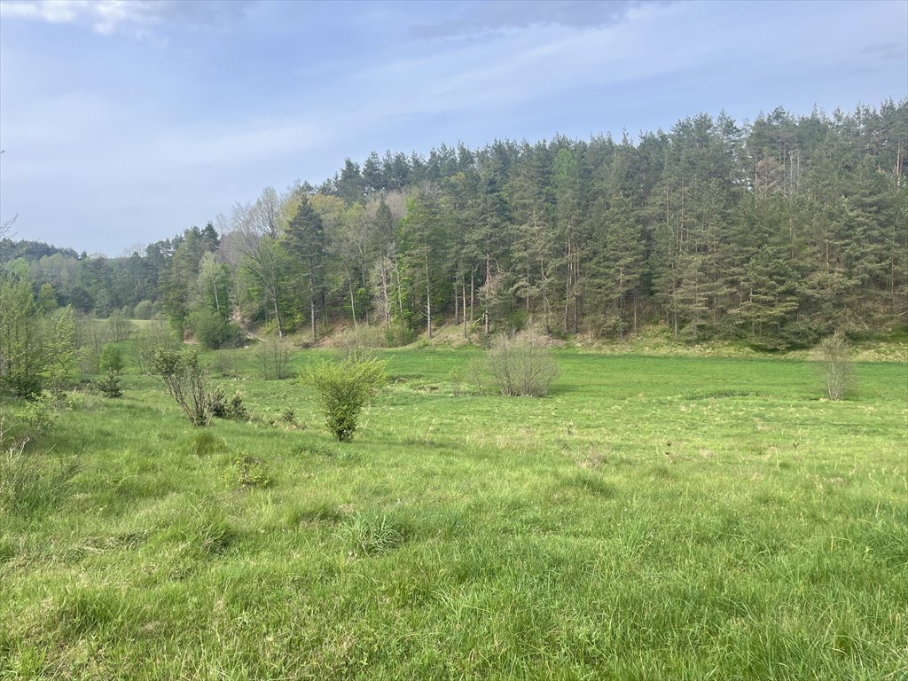 Działka budowlana na sprzedaż Koleczkowo, Bitwy Nad Ślężą  2 551m2 Foto 1