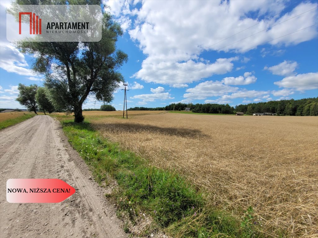 Działka gospodarstwo rolne na sprzedaż Skorzewo  3 000m2 Foto 3