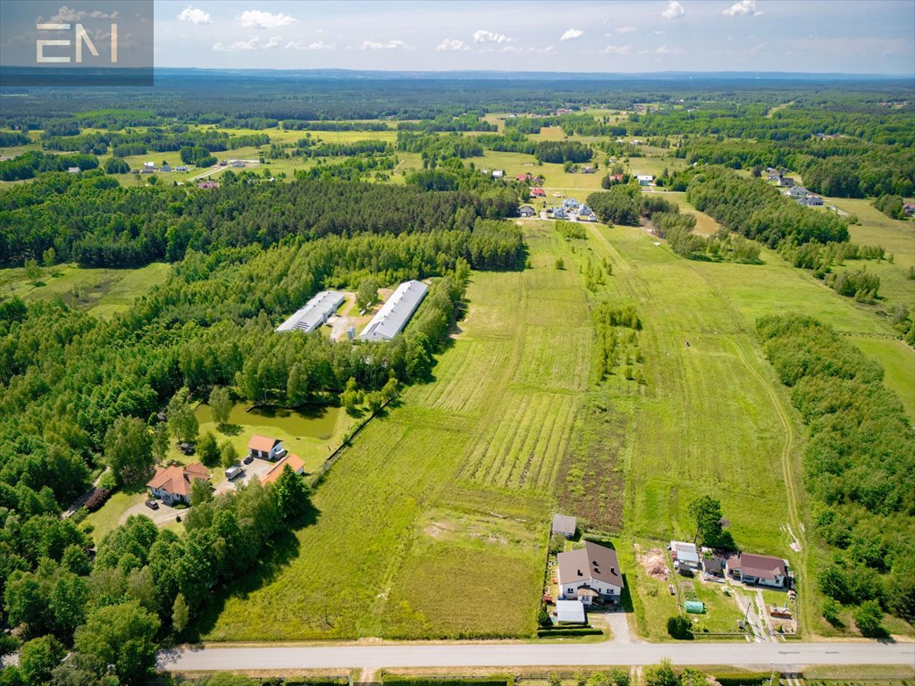 Działka budowlana na sprzedaż Bukowiec  8 600m2 Foto 6