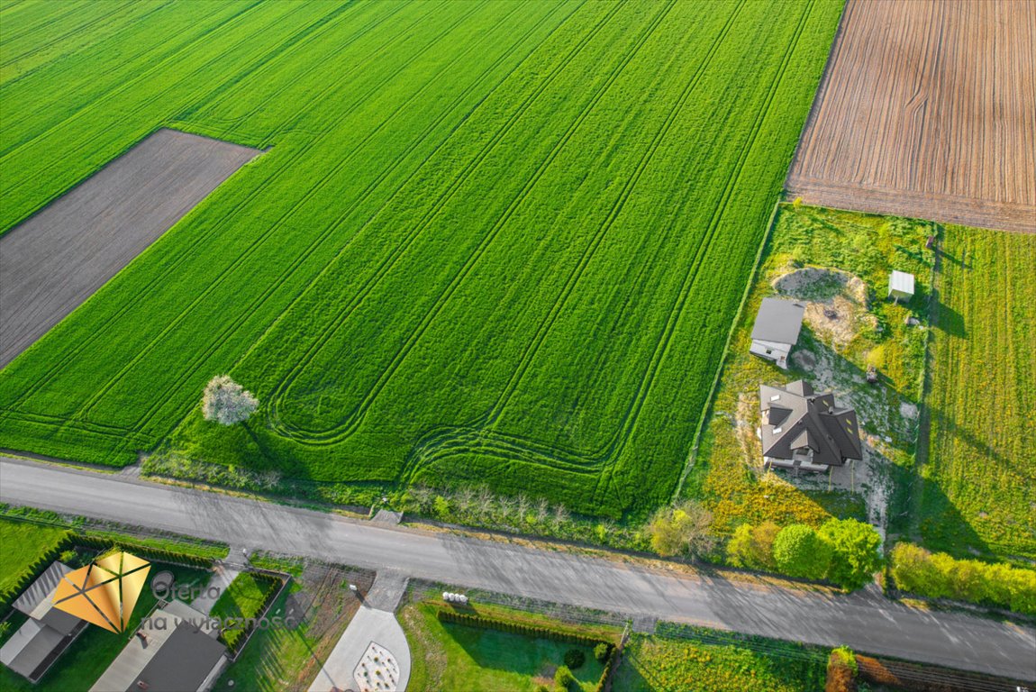 Działka rolna na sprzedaż Piotrkówek  3 200m2 Foto 2