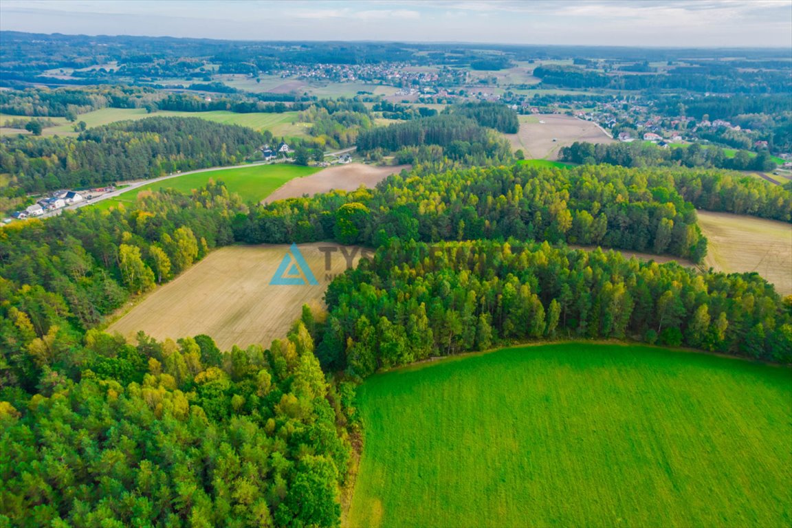 Działka rolna na sprzedaż Gołubie  102 067m2 Foto 3