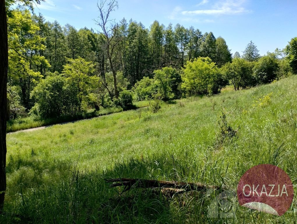 Działka inna na sprzedaż Stary Błeszyn  1 500m2 Foto 6