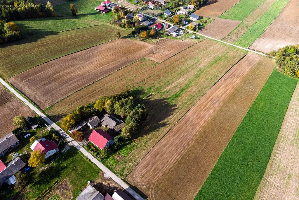 Działka budowlana na sprzedaż Krępa  2 600m2 Foto 2