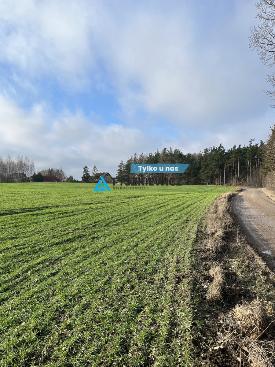 Działka budowlana na sprzedaż Wielki Klincz  1 539m2 Foto 1