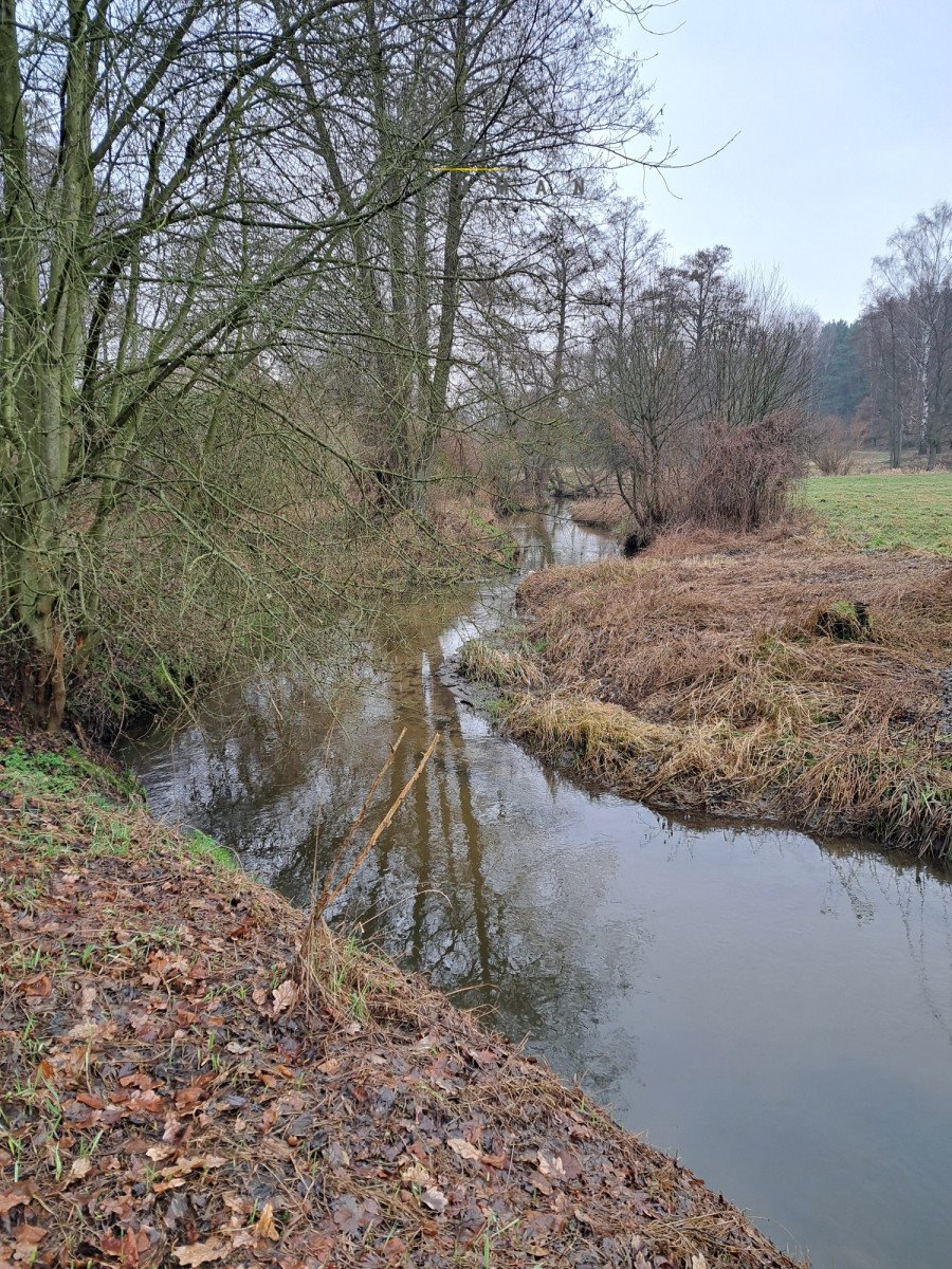 Działka budowlana na sprzedaż Swędów  4 086m2 Foto 11