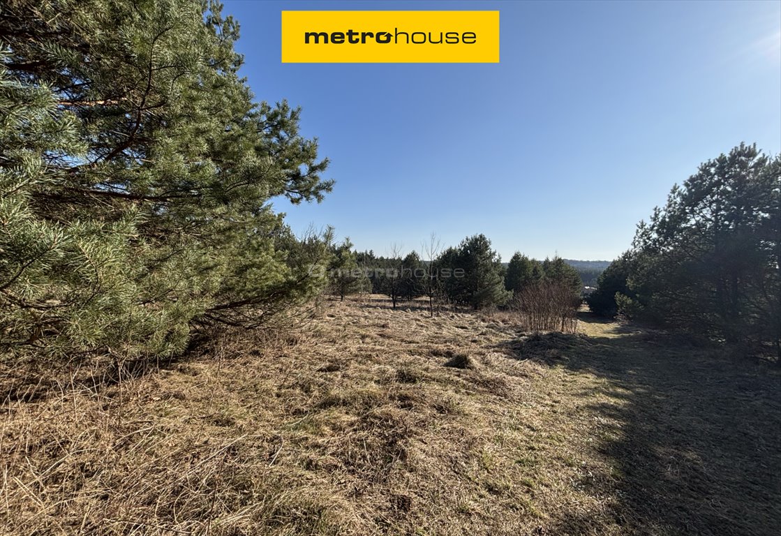 Działka 13 738 m² z potencjałem pod zabudowę i rekreację Mitręga, Rokicka  13 738m2 Foto 1