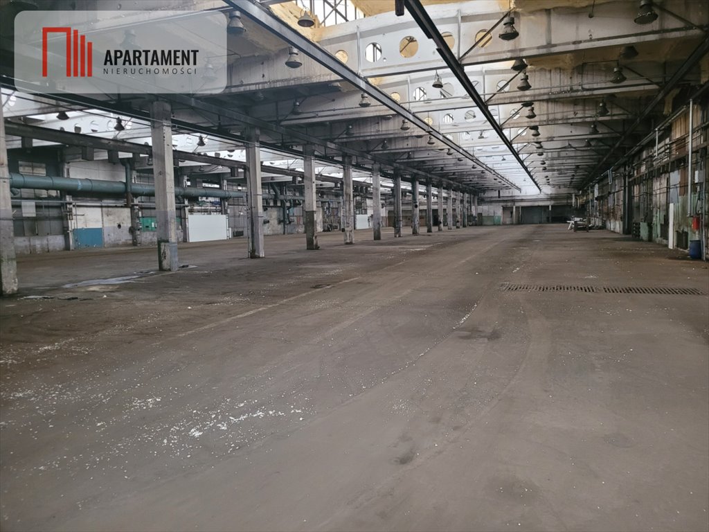 Lokal użytkowy na wynajem Grudziądz  500m2 Foto 5