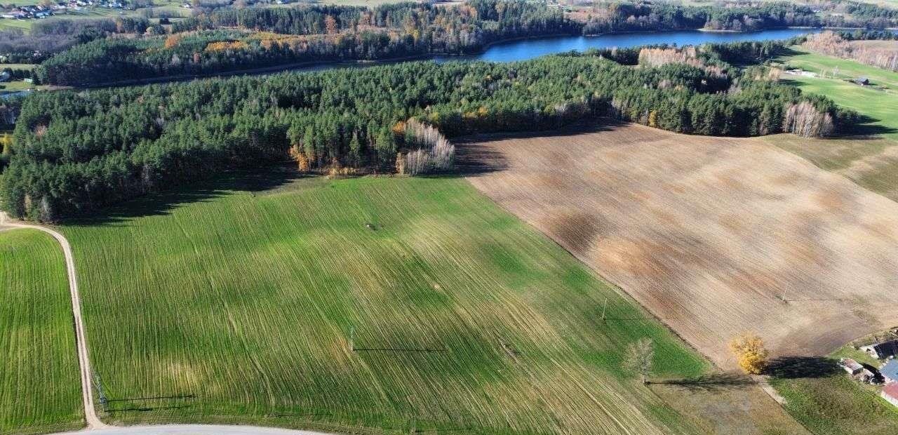 Działka rolna na sprzedaż Bakałarzewo  3 000m2 Foto 6