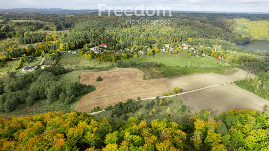 Działka budowlana na sprzedaż Klonowo Dolne, Głęboka  9 739m2 Foto 14