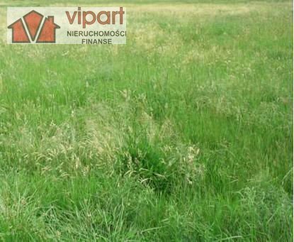 Działka budowlana na sprzedaż Świerczyniec 980m2 Foto 1 Działka budowlana na sprzedaż Świerczyniec 980m2 Foto 1