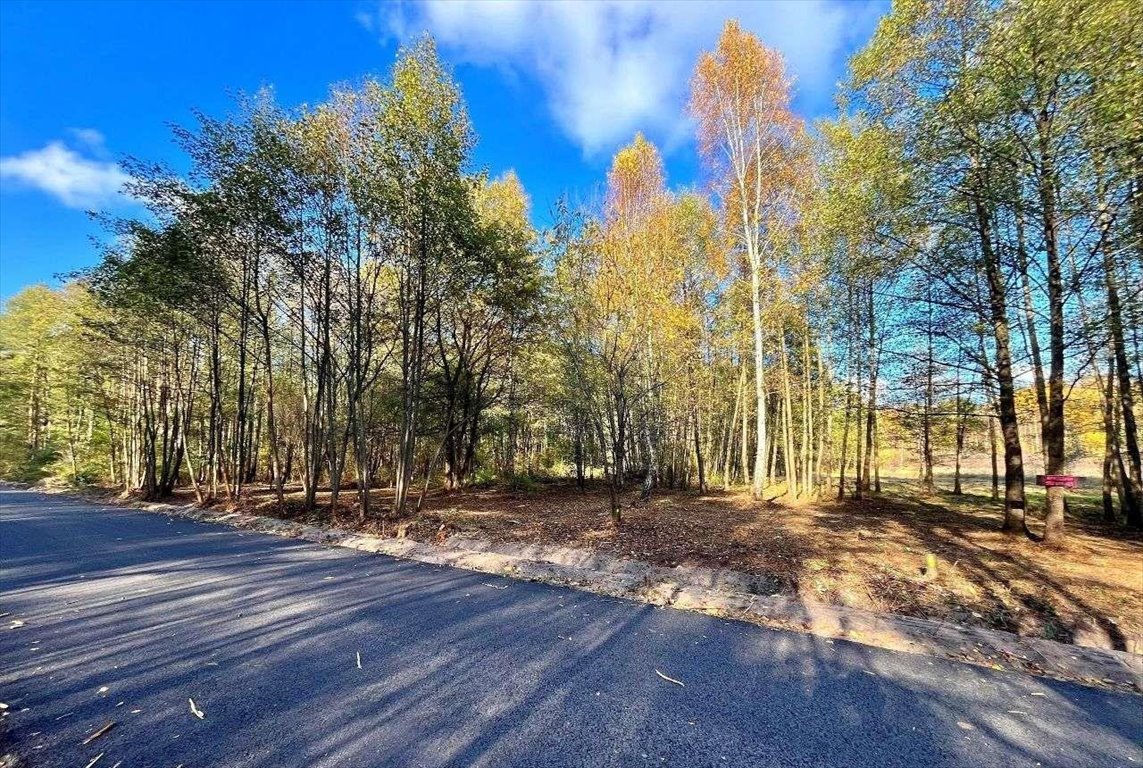 Działka 1600 m² pod dom lub rekreację w Gertrudowie. Gertrudów  1 300m2 Foto 1