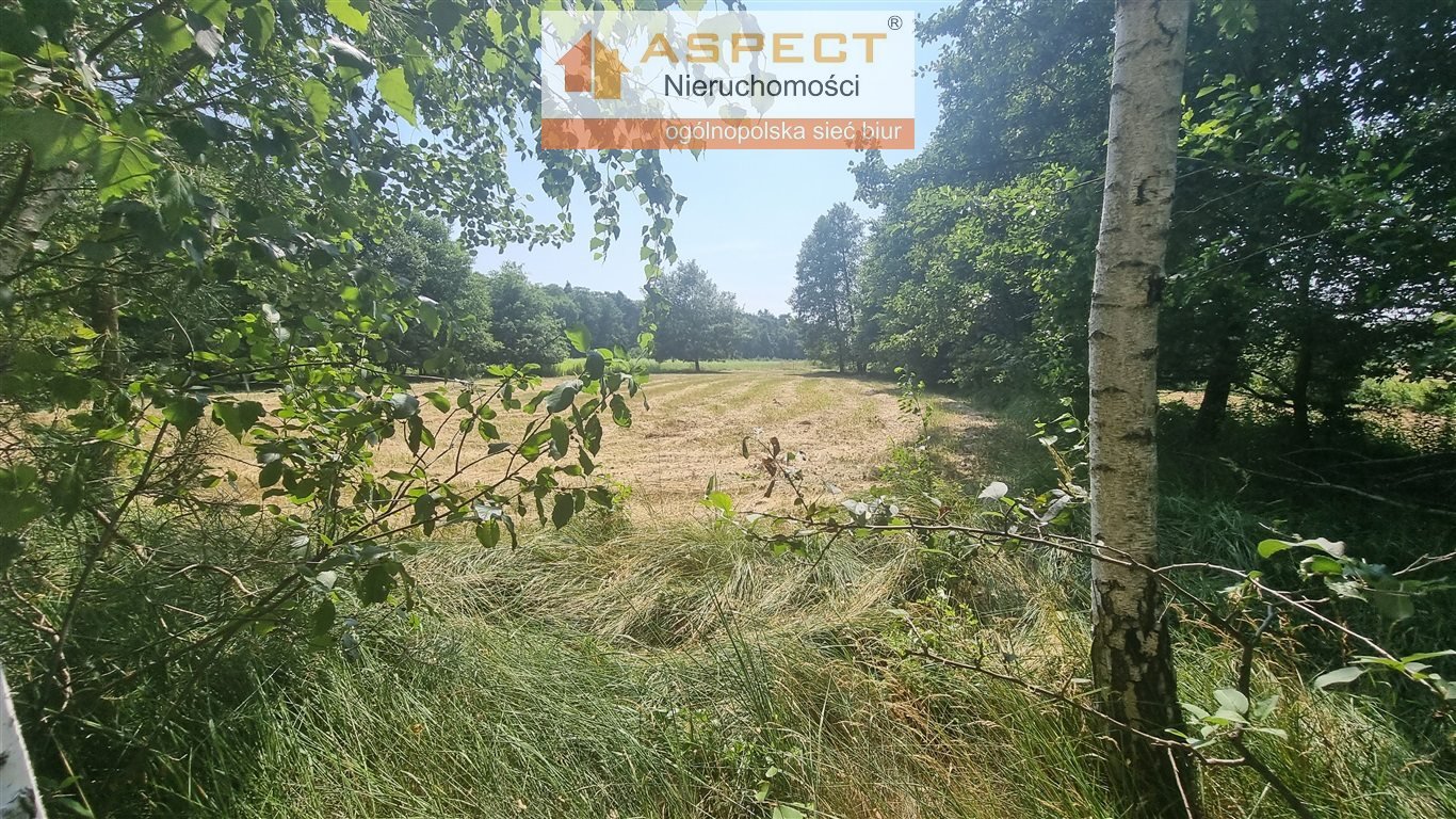 Działka rolna na sprzedaż Wykowo  13 000m2 Foto 2