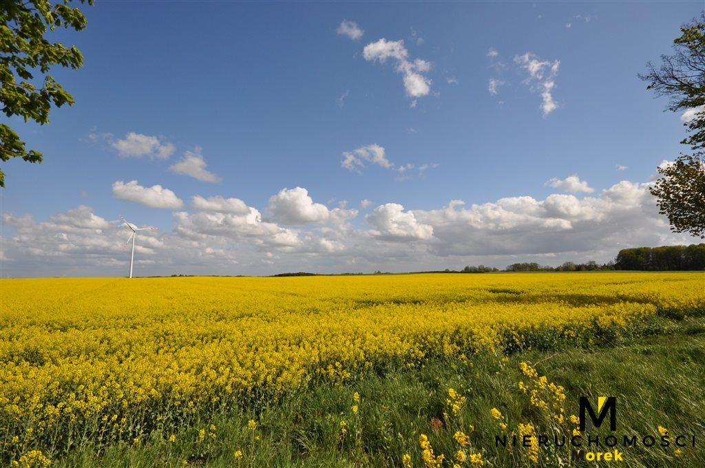 Działka budowlana na sprzedaż Bardy  60 400m2 Foto 4