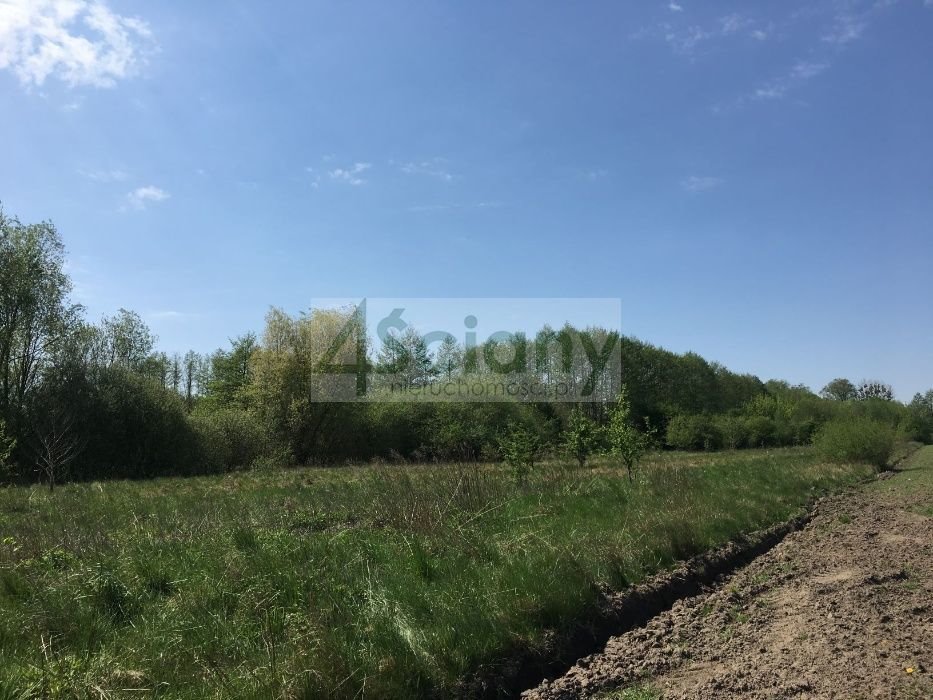 Działka budowlana na sprzedaż Kozerki  14 800m2 Foto 1