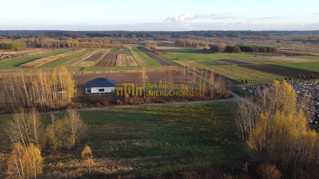 Działka budowlana na sprzedaż Trzeboś  3 123m2 Foto 3