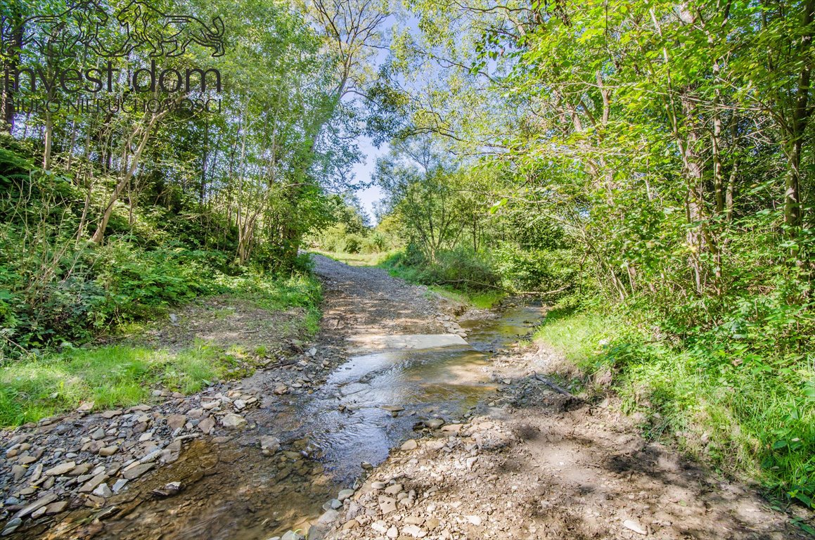 Działka budowlana na sprzedaż Czarna  2 300m2 Foto 9