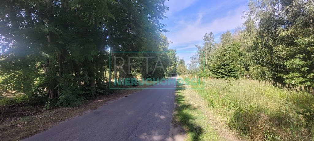 Działka 3000 m² z warunkami zabudowy, prąd, lasy Puszcza Mariańska  3 000m2 Foto 1