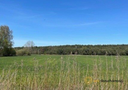 Działka rolna na sprzedaż Grędzina  10 000m2 Foto 1