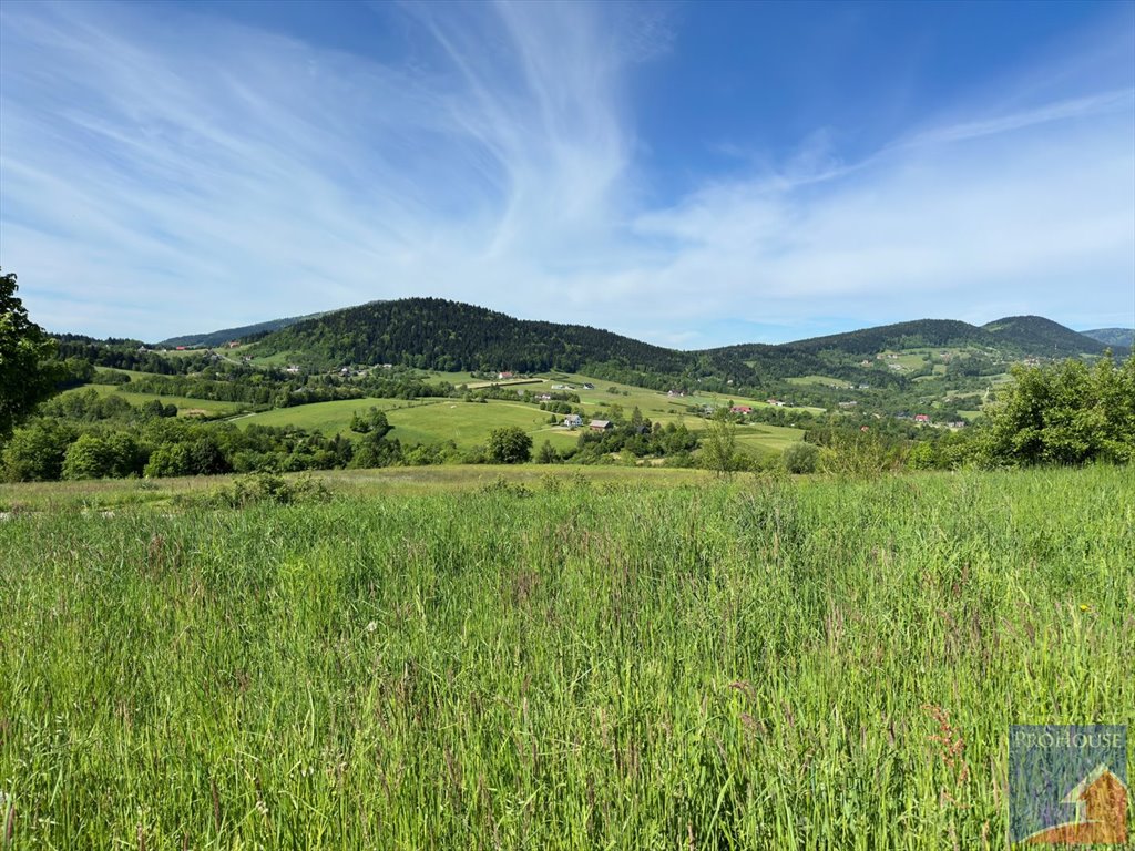 Działka budowlana na sprzedaż Skrzydlna  7 400m2 Foto 3