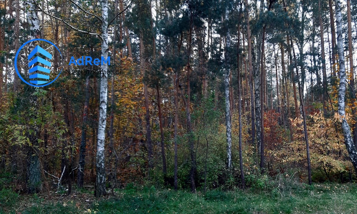 Działka leśna na sprzedaż Warszawa, Wesoła Groszówka  1 640m2 Foto 7