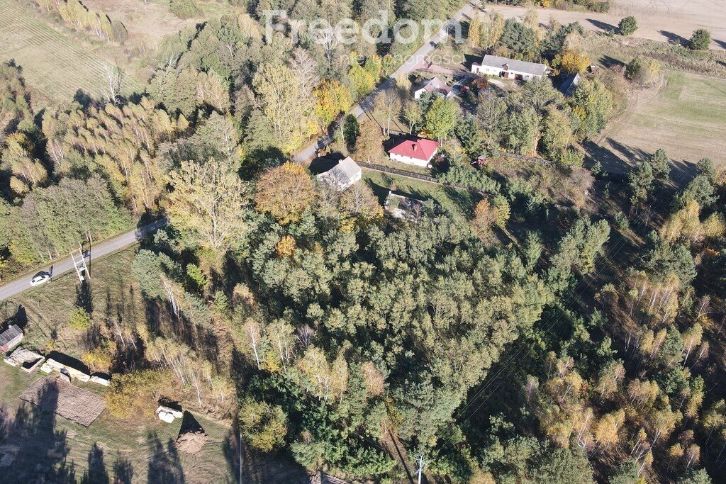 Działka budowlana na sprzedaż Toki  3 000m2 Foto 3