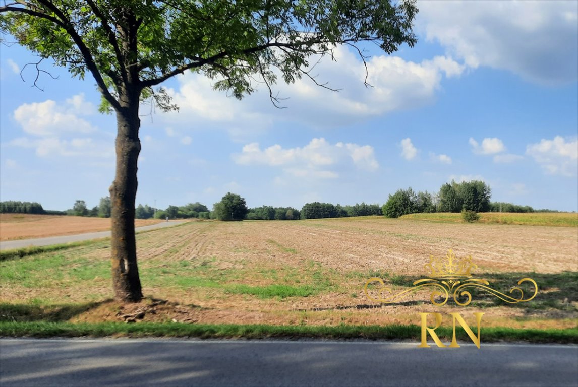 Działka rolna na sprzedaż Rudno  8 100m2 Foto 7