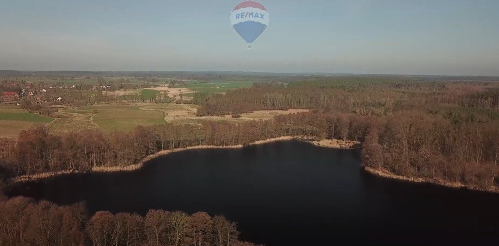 Działka rekreacyjna na sprzedaż Warnice  88 800m2 Foto 5