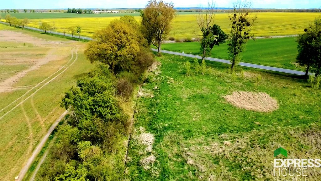 Działka budowlana 1188 m2 w Dłużycach – cisza i natura Dłużyce  1 188m2 Foto 1