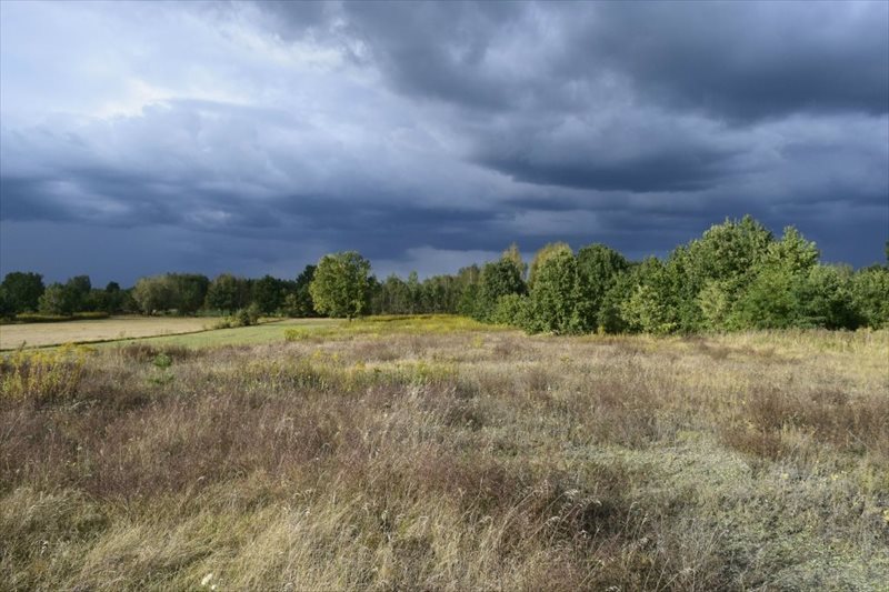 Działka 2188 m² pod zabudowę jednorodzinną, las, media Powązki  2 188m2 Foto 1
