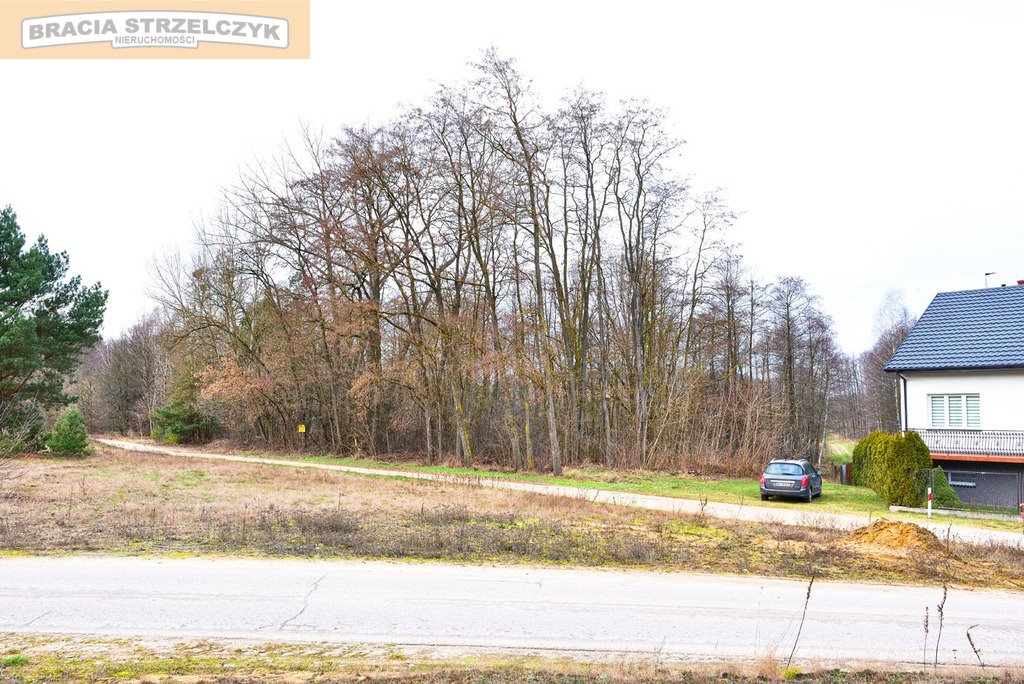 Polecam działkę 27 100 m² z lasem i możliwością zabudowy Zambski Kościelne  27 100m2 Foto 1