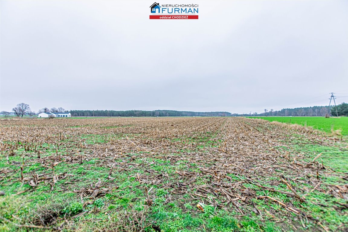 Działka budowlana na sprzedaż Boruchowo  14 300m2 Foto 1