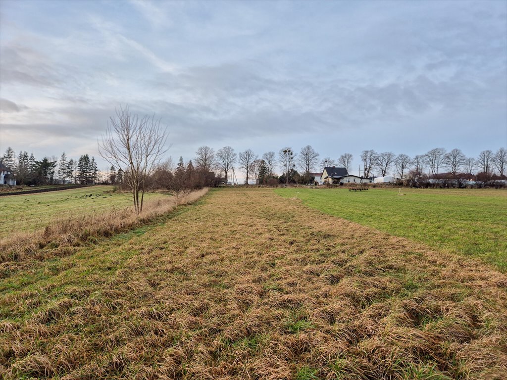 Działka 1336 m2 pod dom jednorodzinny z zielenią i planem Rybno  1 336m2 Foto 1