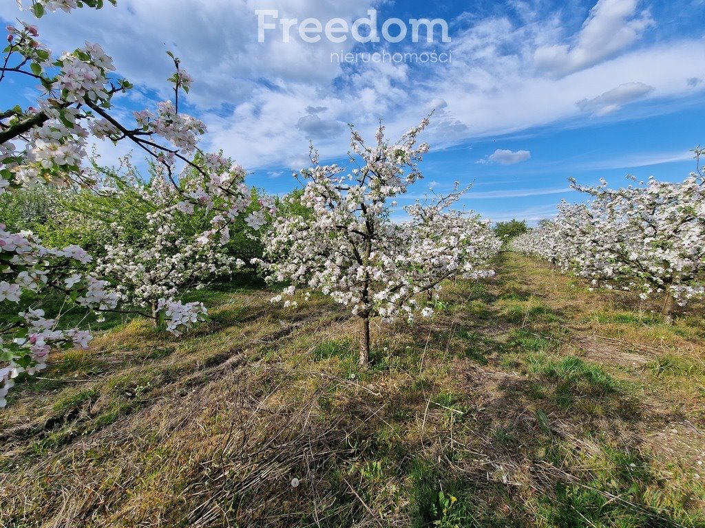 Dom na sprzedaż Polubicze Wiejskie  110m2 Foto 9