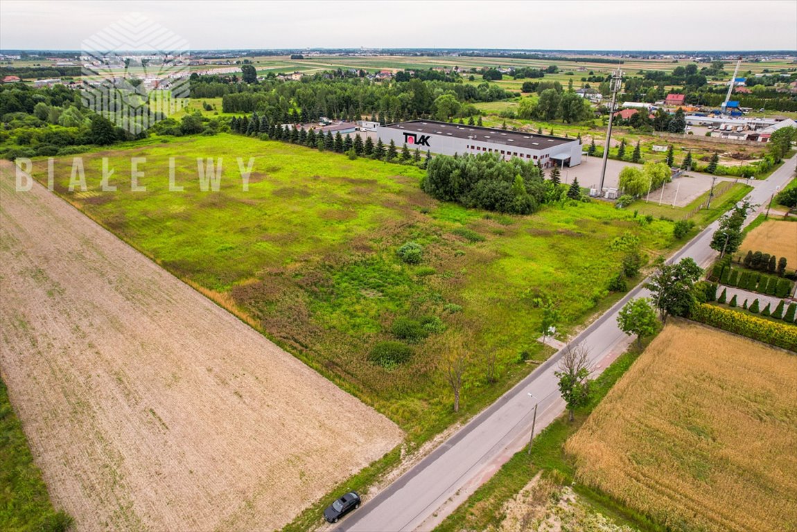 Działka przemysłowo-handlowa na sprzedaż Janczewice, Jedności  25 000m2 Foto 3