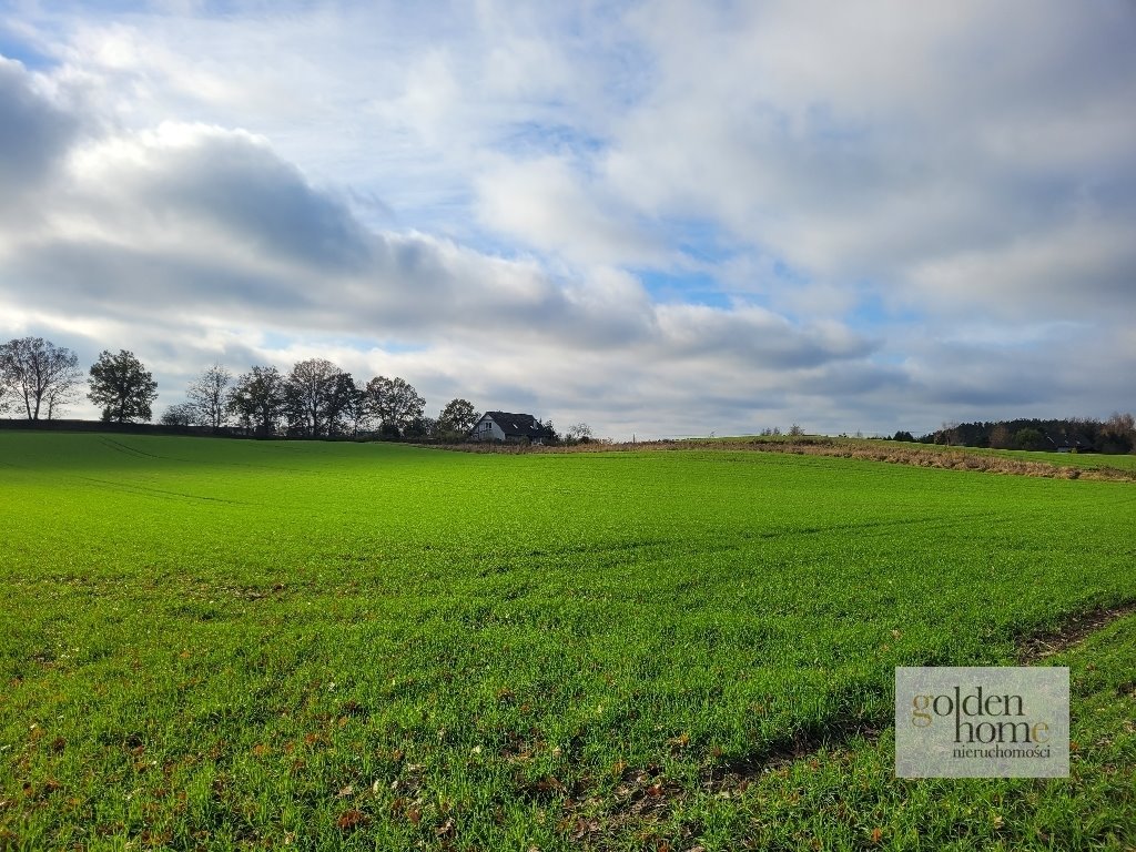 Działka budowlana na sprzedaż Grzebienisko, Świerkowa  2 555m2 Foto 1