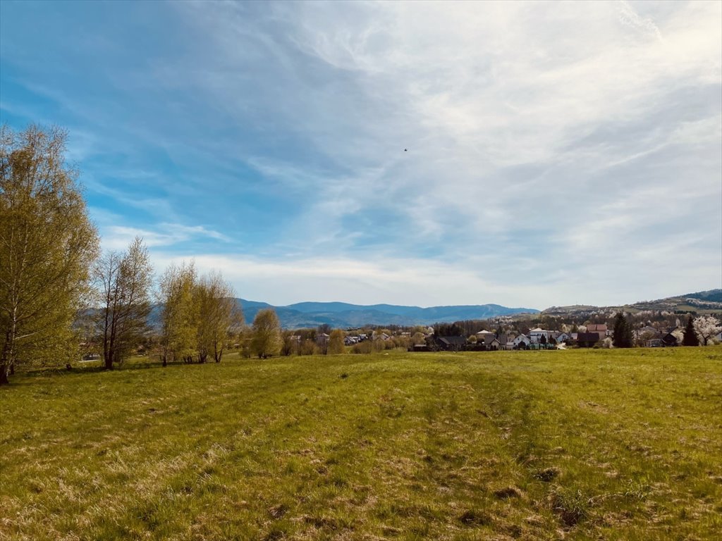 Działka budowlana na sprzedaż Leśna, Leśna, Promienna  1 080m2 Foto 6