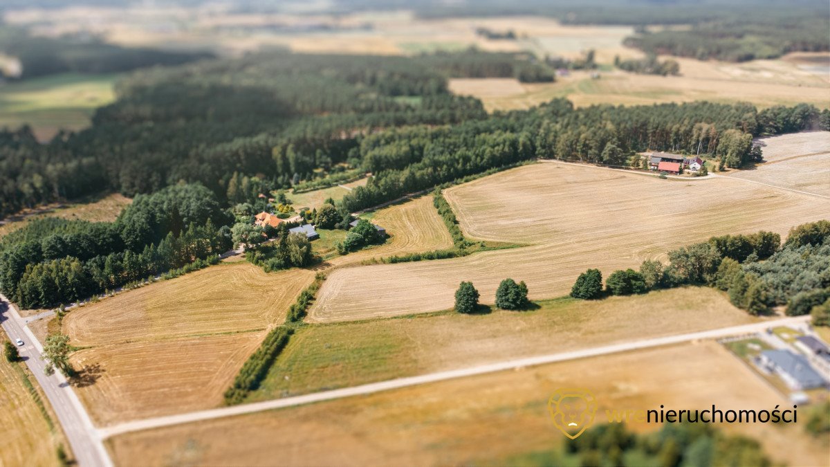 Działka przemysłowo-handlowa na sprzedaż Śliwice, Zdrojowa  47 740m2 Foto 1