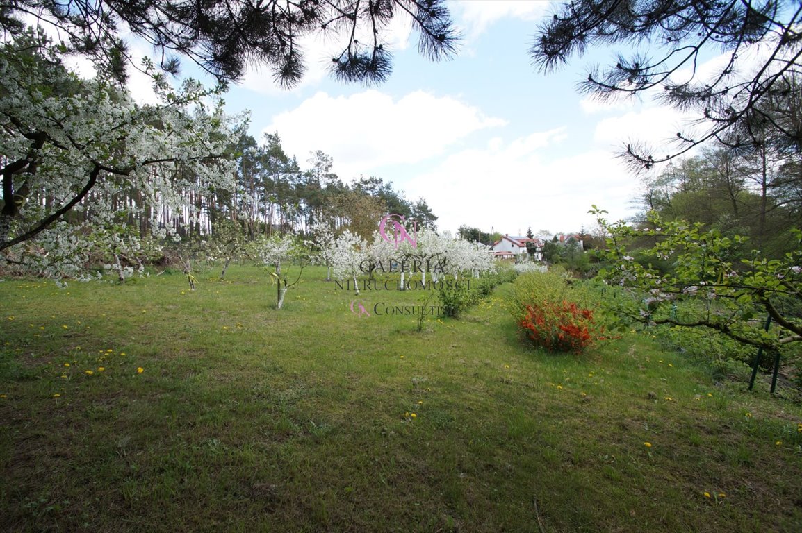 Działka inna na sprzedaż Lubicz Dolny  4 300m2 Foto 17