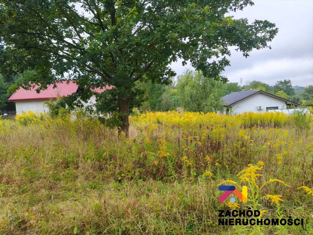 Sprzedam działkę 1684 m² w Kamieniu z warunkami zabudowy Kamień  1 684m2 Foto 1