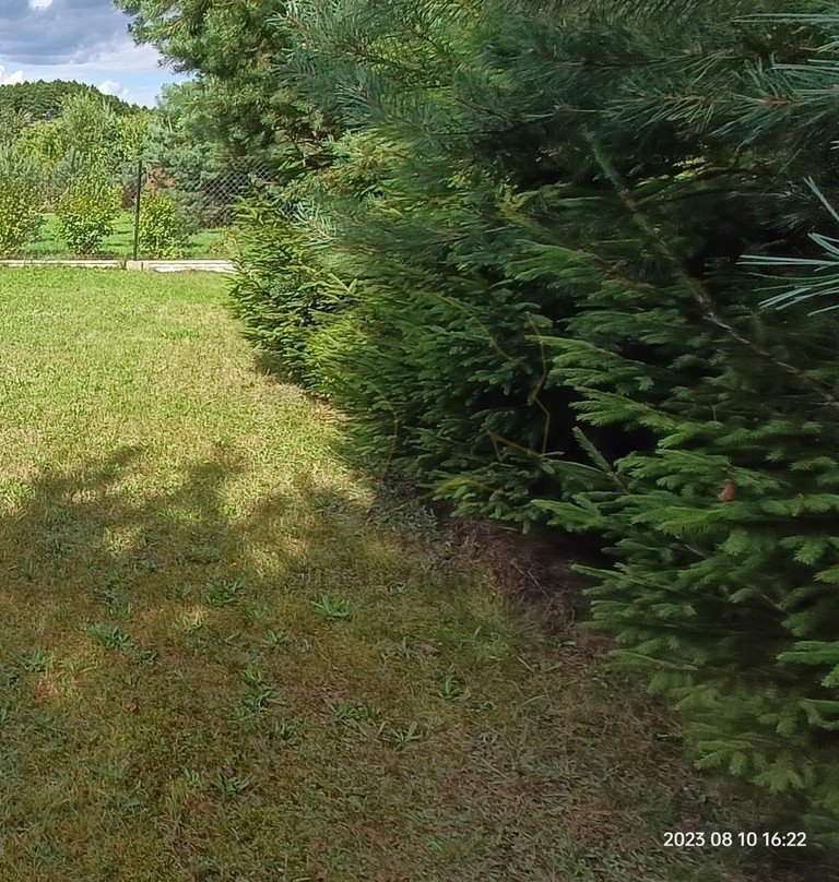 Działka budowlana 1598 m² z wodą i garażem w Pustkowej Górze Pustkowa Góra  1 598m2 Foto 1