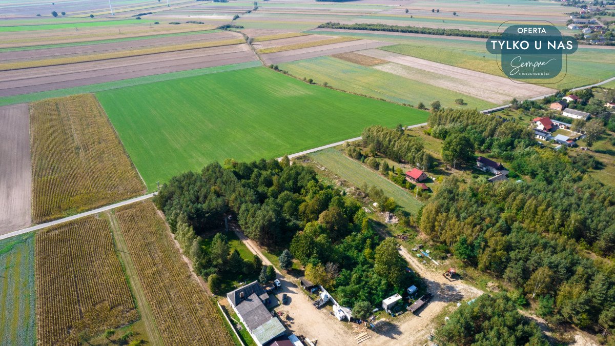 Działka budowlana na sprzedaż Krokocice  4 800m2 Foto 10