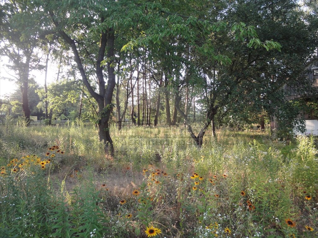 Działka budowlana na sprzedaż Kanie, Kanie 2 388m2 Foto 1 Działka budowlana na sprzedaż Kanie, Kanie 2 388m2 Foto 1