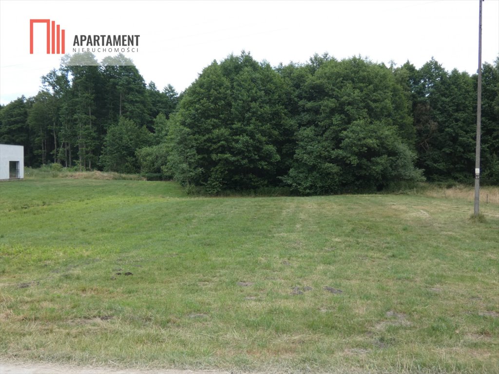 Działka rekreacyjna na sprzedaż Laski Małe  4 100m2 Foto 2