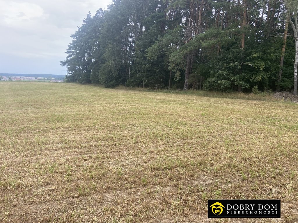 Działka 3312 m² w otulinie lasu, blisko Grabowa Świdry-Dobrzyce  3 312m2 Foto 1