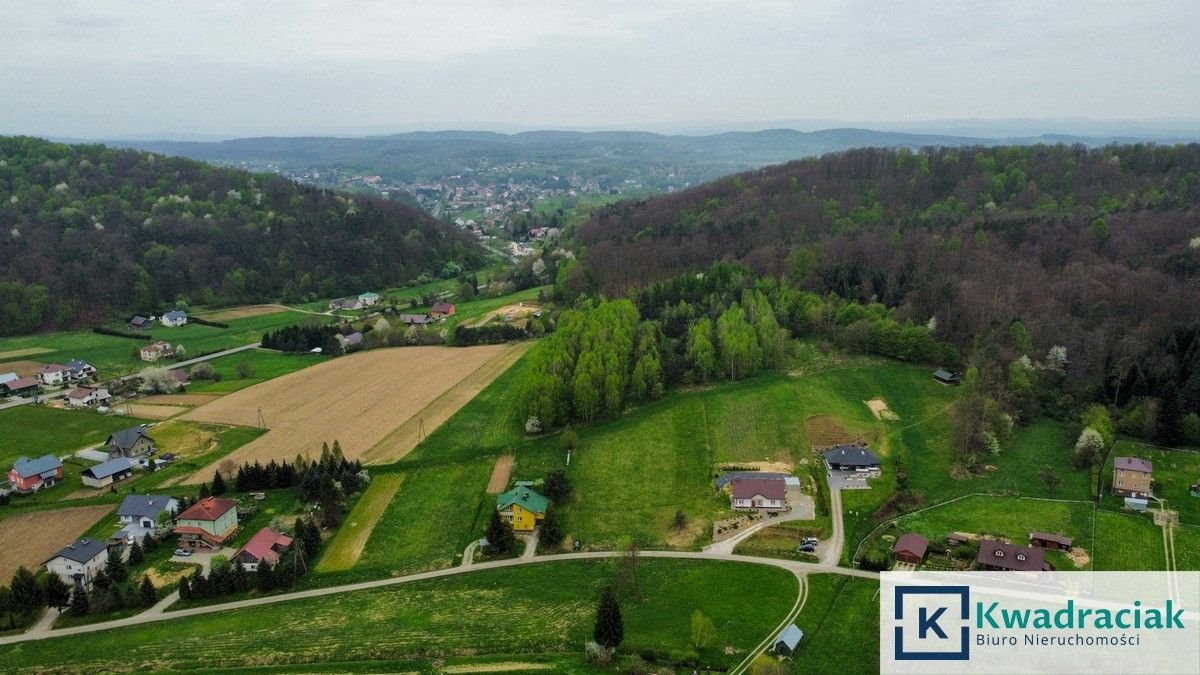 Działka budowlana na sprzedaż Grabownica Starzeńska  4 100m2 Foto 3